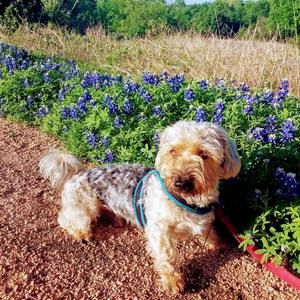 Meet your Posher, Letty